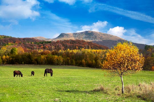 Európa leggyérebben lakott vidéke - a Bieszczady-hegység és az Alacsony Beszkidek